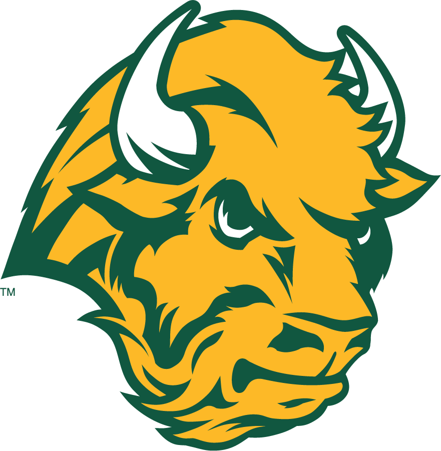 North Dakota State Bison 2006-2012 Secondary Logo diy DTF decal sticker